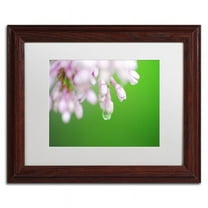 Trademark Fine Art "Pure" Canvas Art by Monica Mize, White Matte, Wood Frame