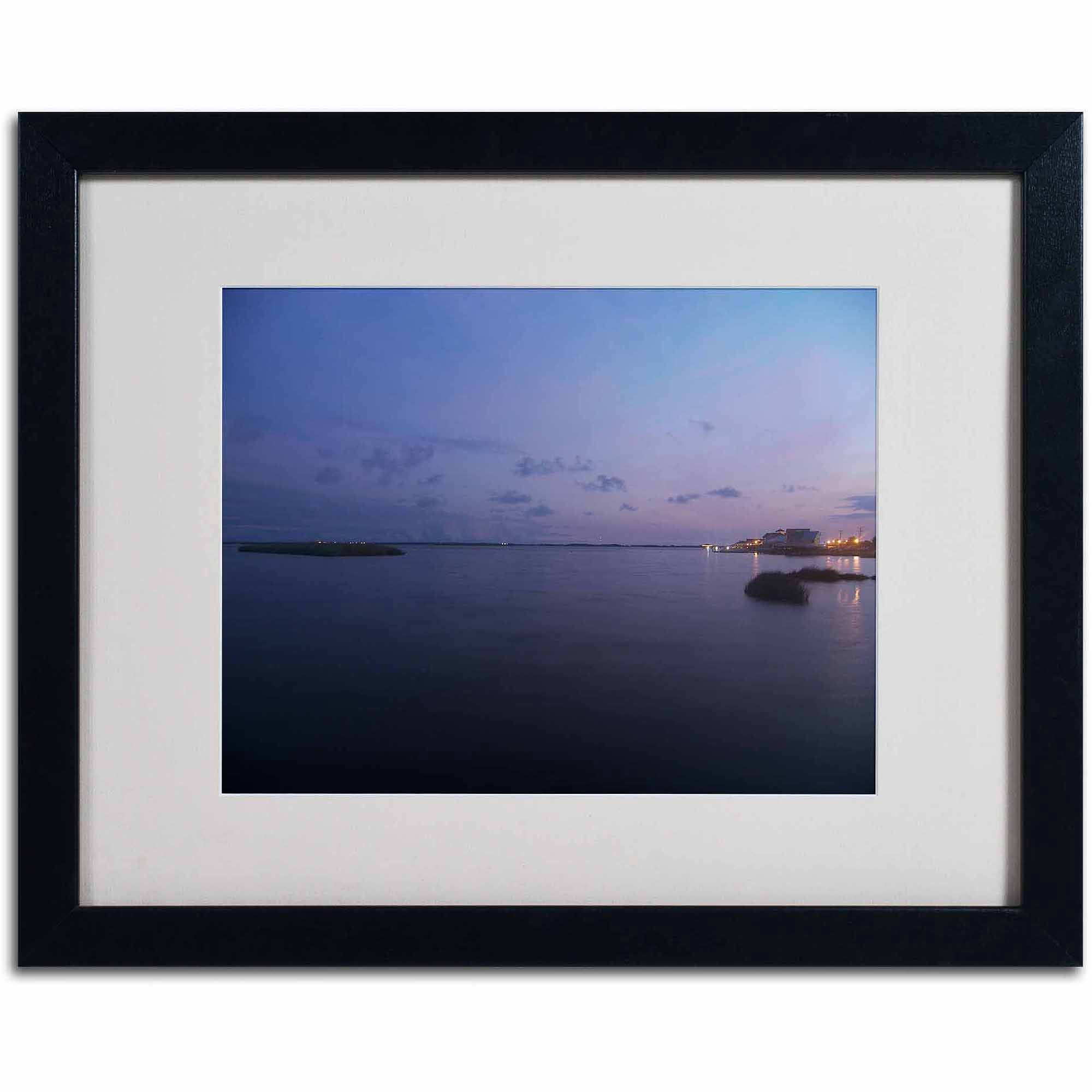 Trademark Fine Art "Pure Elegance" Canvas Art by Monica Fleet, White Matte, Black Frame