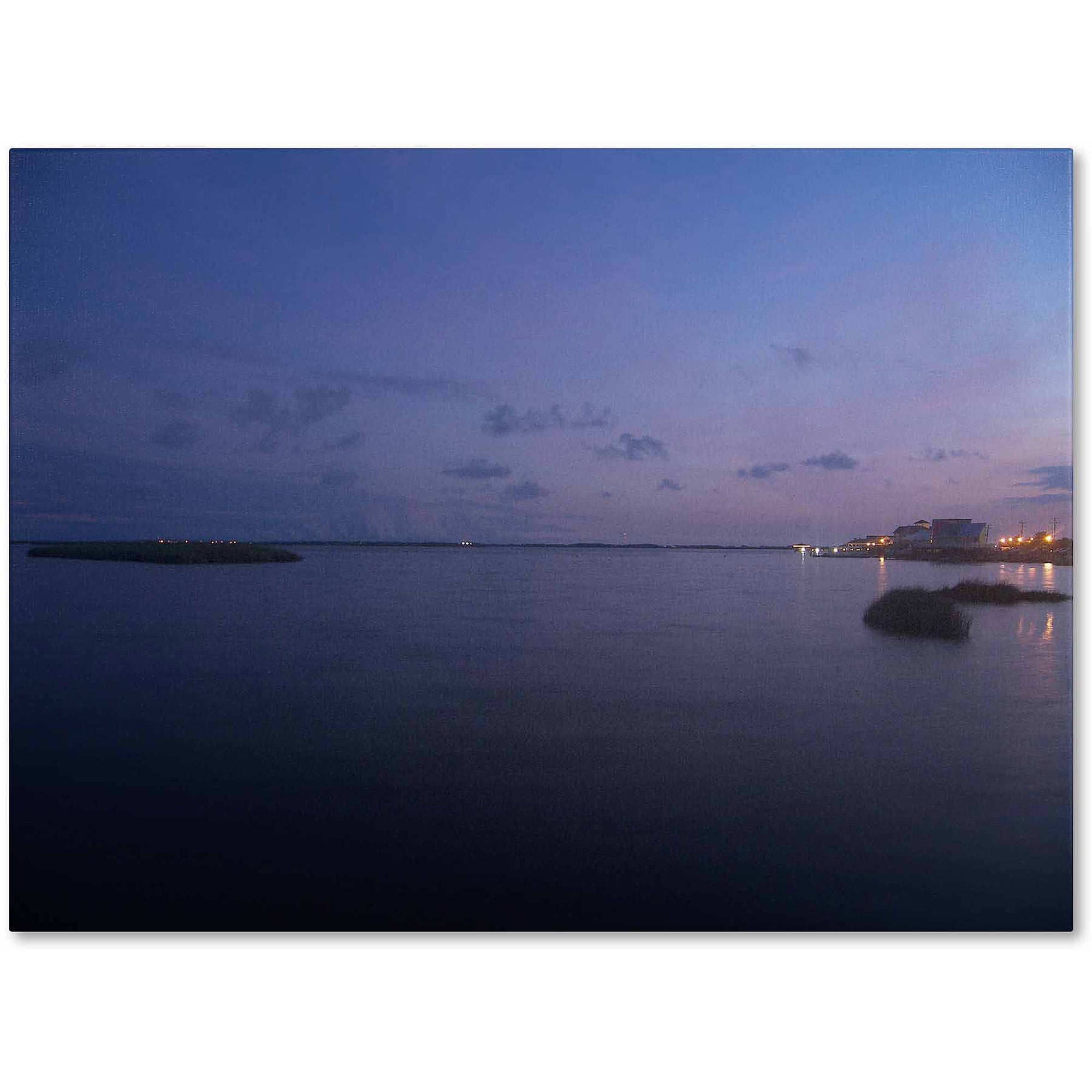 Trademark Fine Art "Pure Elegance" Canvas Art by Monica Fleet