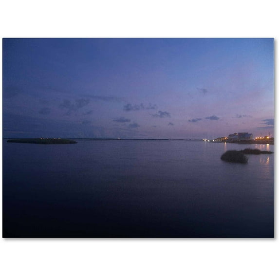 Trademark Fine Art "Pure Elegance" Canvas Art by Monica Fleet