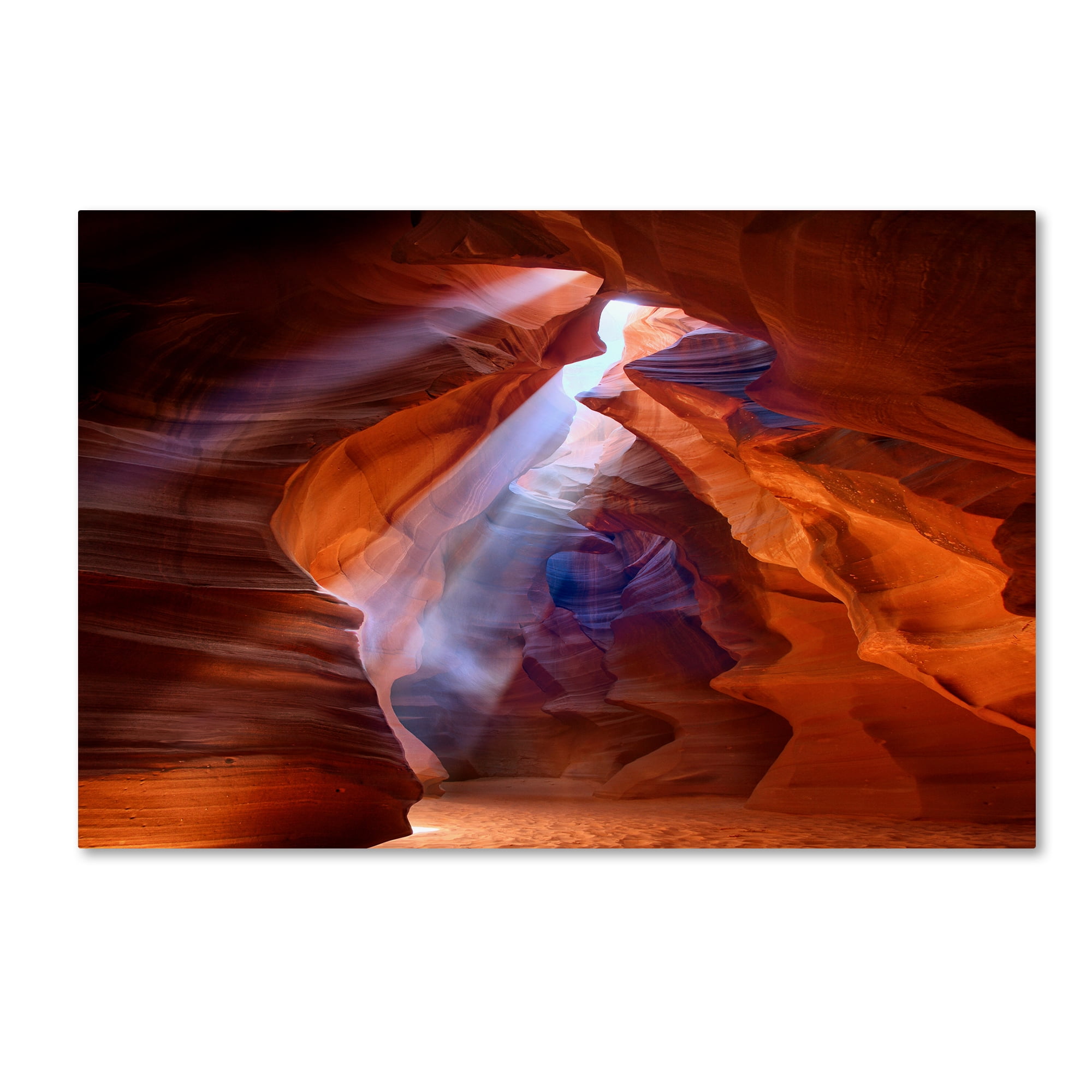 Trademark Fine Art 'Pure Photo delight' Canvas Art by Roman Golubenko