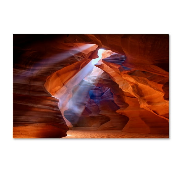 Trademark Fine Art 'Pure Photo delight' Canvas Art by Roman Golubenko