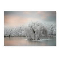 Trademark Fine Art 'Pure White' Canvas Art by Philippe Sainte-Laudy