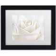 thumbnail image 1 of Trademark Fine Art 'Pure White Rose' Canvas Art by Cora Niele, White Matte, Black Frame, 1 of 1