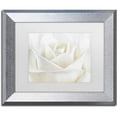 thumbnail image 1 of Trademark Fine Art 'Pure White Rose' Canvas Art by Cora Niele, White Matte, Silver Frame, 1 of 1
