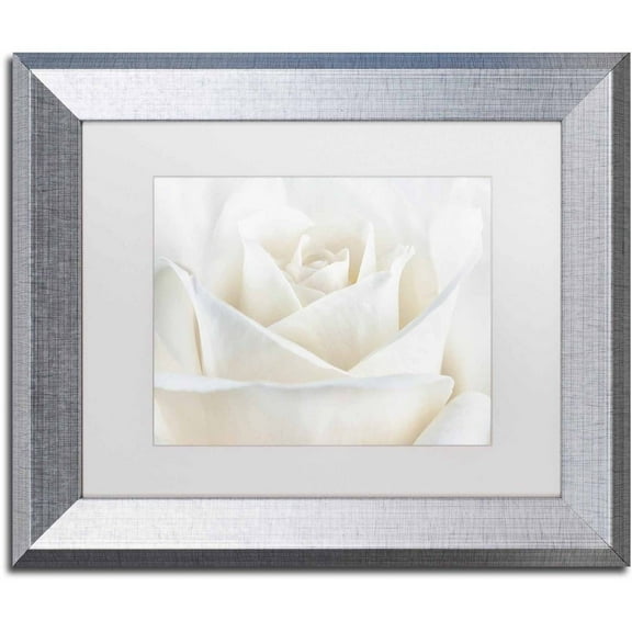 Trademark Fine Art 'Pure White Rose' Canvas Art by Cora Niele, White Matte, Silver Frame