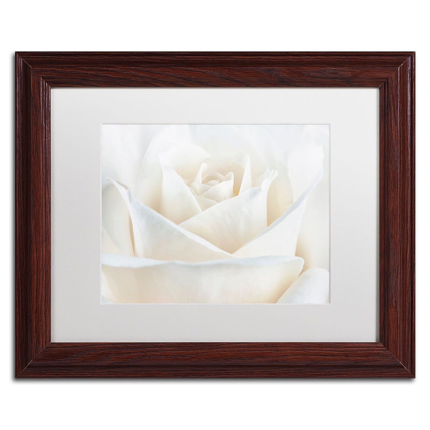 Trademark Fine Art 'Pure White Rose' Canvas Art by Cora Niele, White Matte, Wood Frame