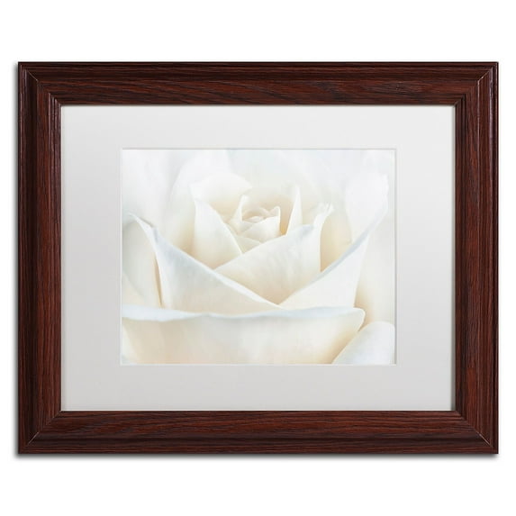 Trademark Fine Art 'Pure White Rose' Canvas Art by Cora Niele, White Matte, Wood Frame