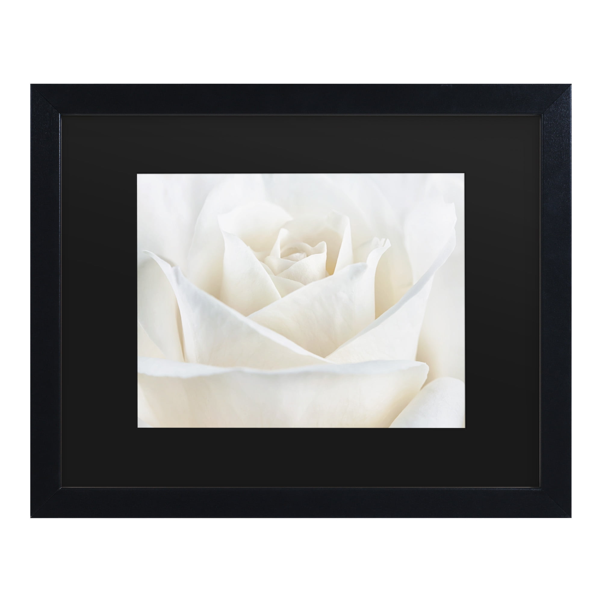 Trademark Fine Art 'Pure White Rose' Canvas Art by Cora Niele