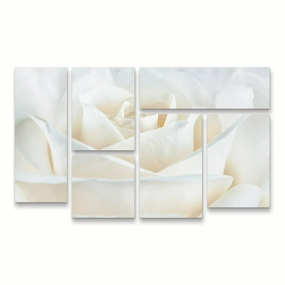 Trademark Fine Art 'Pure White Rose' Canvas Art by Cora Niele