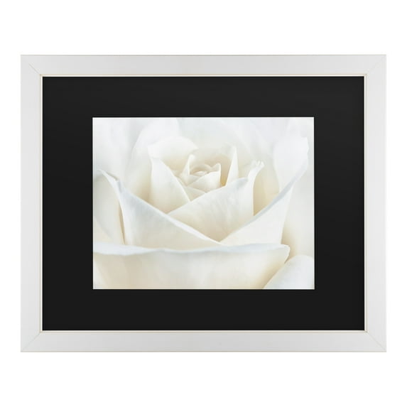 Trademark Fine Art 'Pure White Rose' Canvas Art by Cora Niele