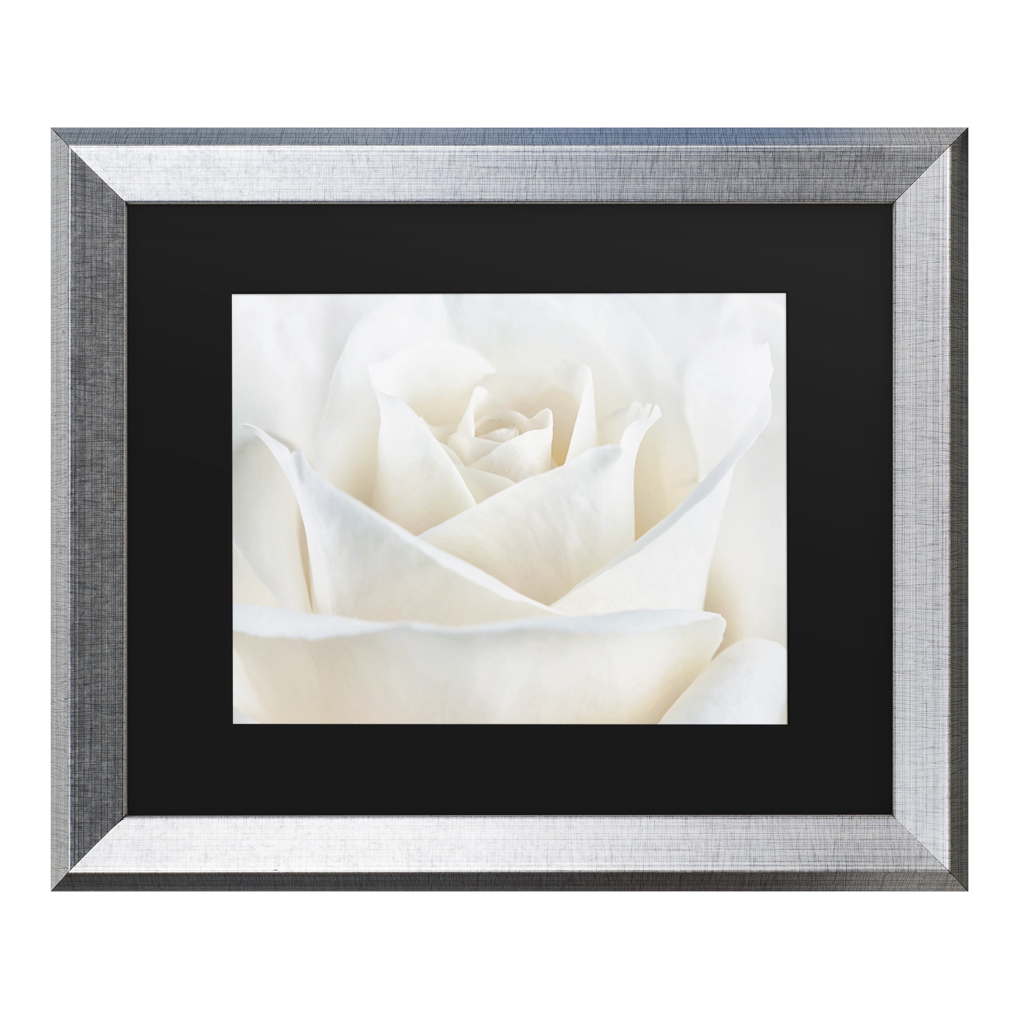 Trademark Fine Art 'Pure White Rose' Canvas Art by Cora Niele