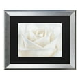 thumbnail image 1 of Trademark Fine Art 'Pure White Rose' Canvas Art by Cora Niele, 1 of 4