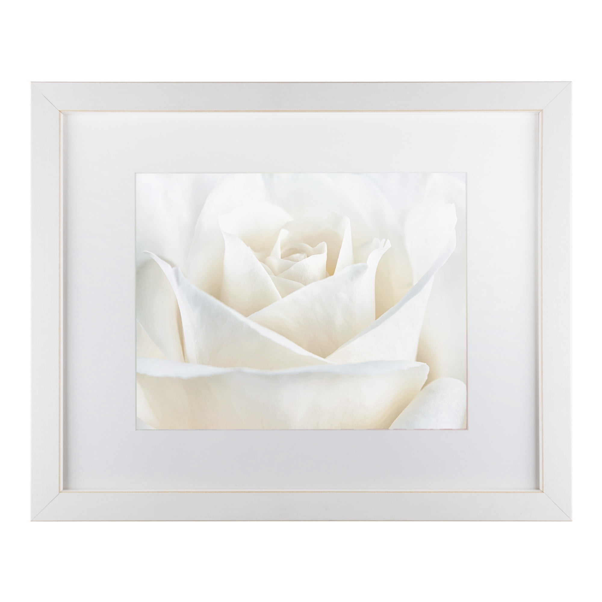 Trademark Fine Art 'Pure White Rose' Matted Framed Art by Cora Niele