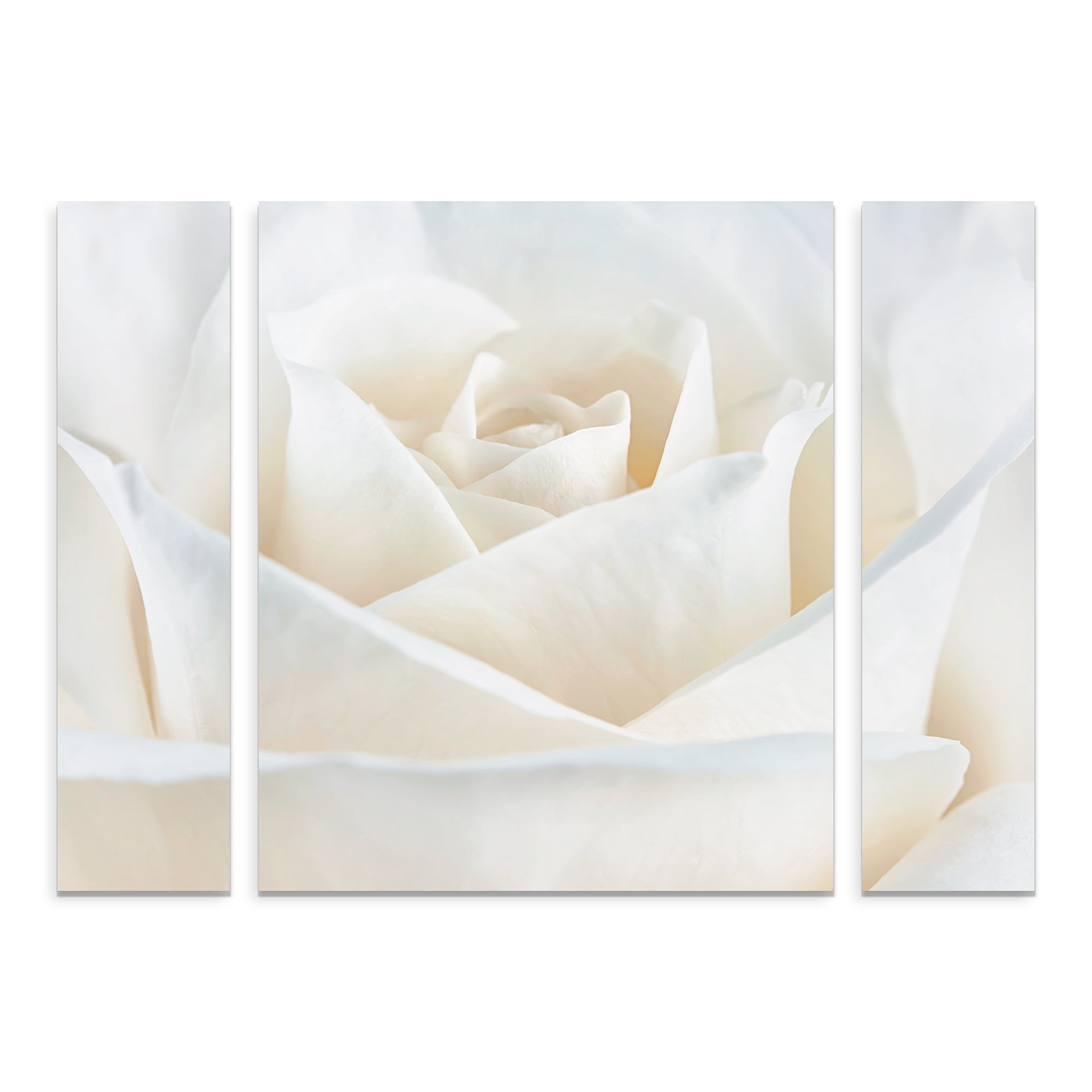 Pure White Rose French Country Multi-Panel Canvas Art Set