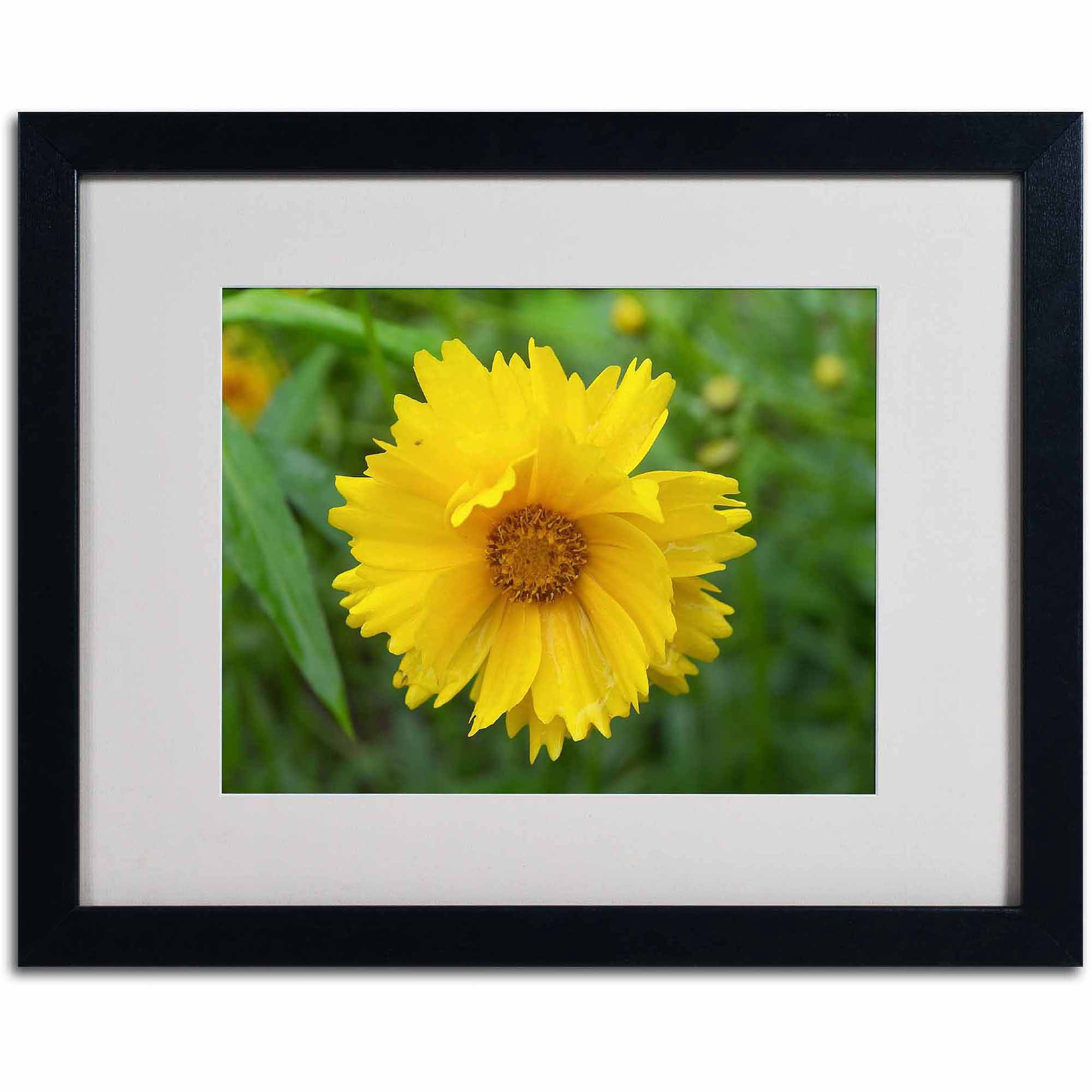 Trademark Fine Art "Purity" Canvas Art by Monica Fleet, White Matte, Black Frame