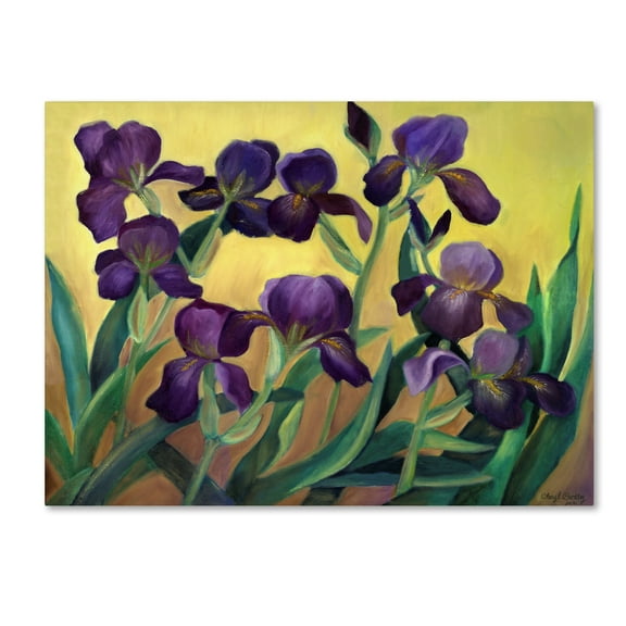 Trademark Fine Art 'Purple Bearded Iris' Canvas Art by Cheryl Bartley