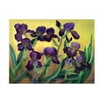 thumbnail image 1 of Trademark Fine Art 'Purple Bearded Iris' Canvas Art by Cheryl Bartley, 1 of 4