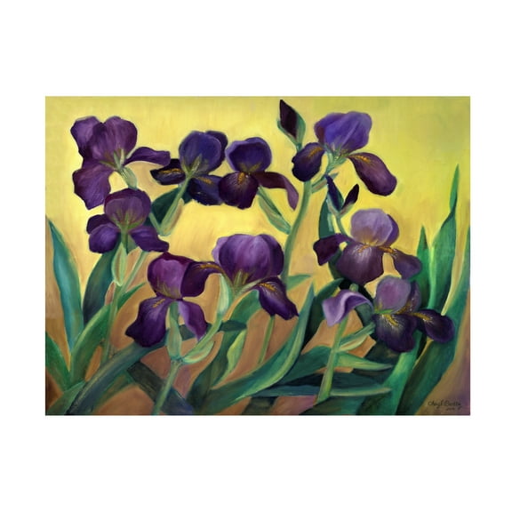 Trademark Fine Art 'Purple Bearded Iris' Canvas Art by Cheryl Bartley