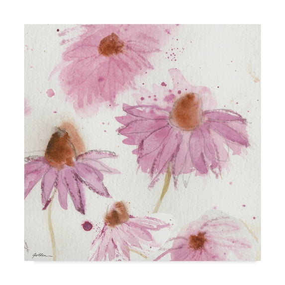 Trademark Fine Art 'Purple Coneflower Garden' Canvas Art by Sheila Golden