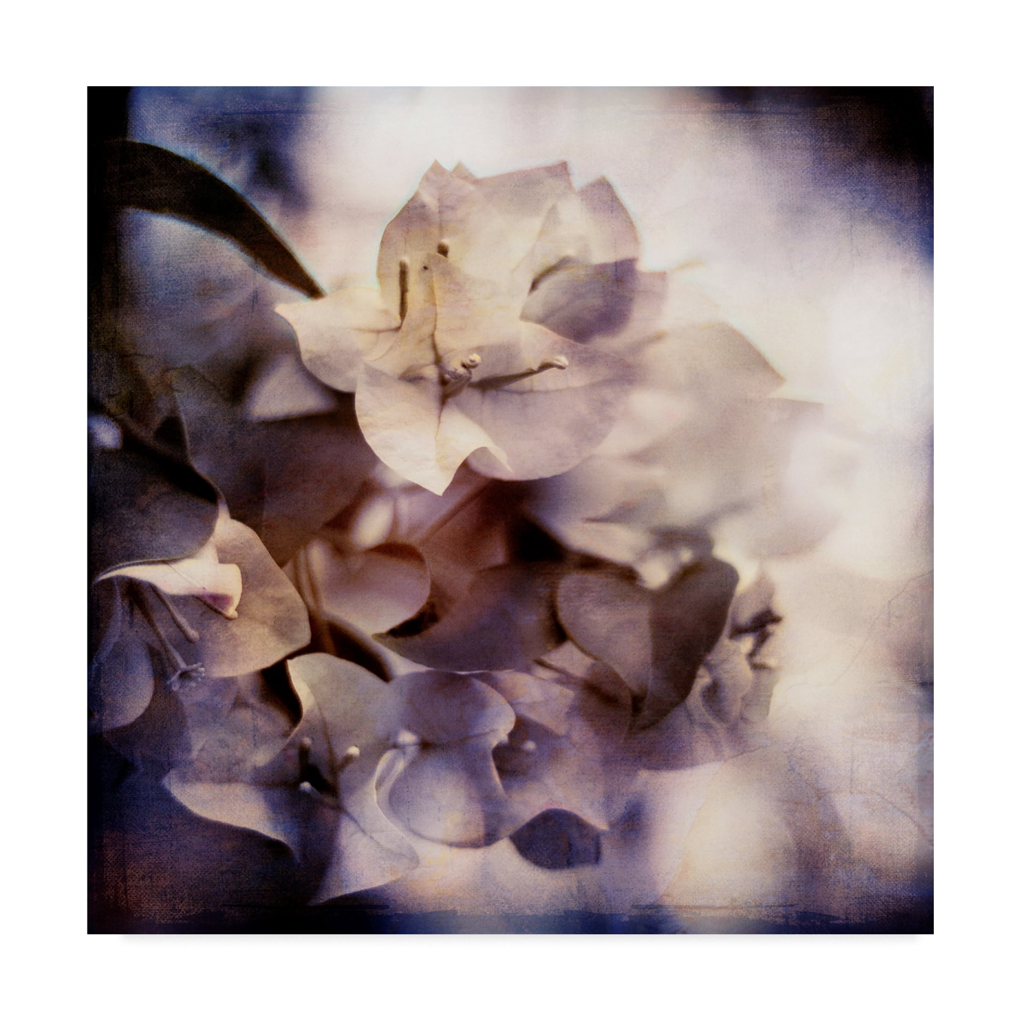 Trademark Fine Art 'Purple Dusk II' Canvas Art by Emily Robinson