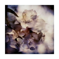 Trademark Fine Art 'Purple Dusk II' Canvas Art by Emily Robinson