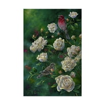 Trademark Fine Art 'Purple Finch' Canvas Art by Jeff Tift