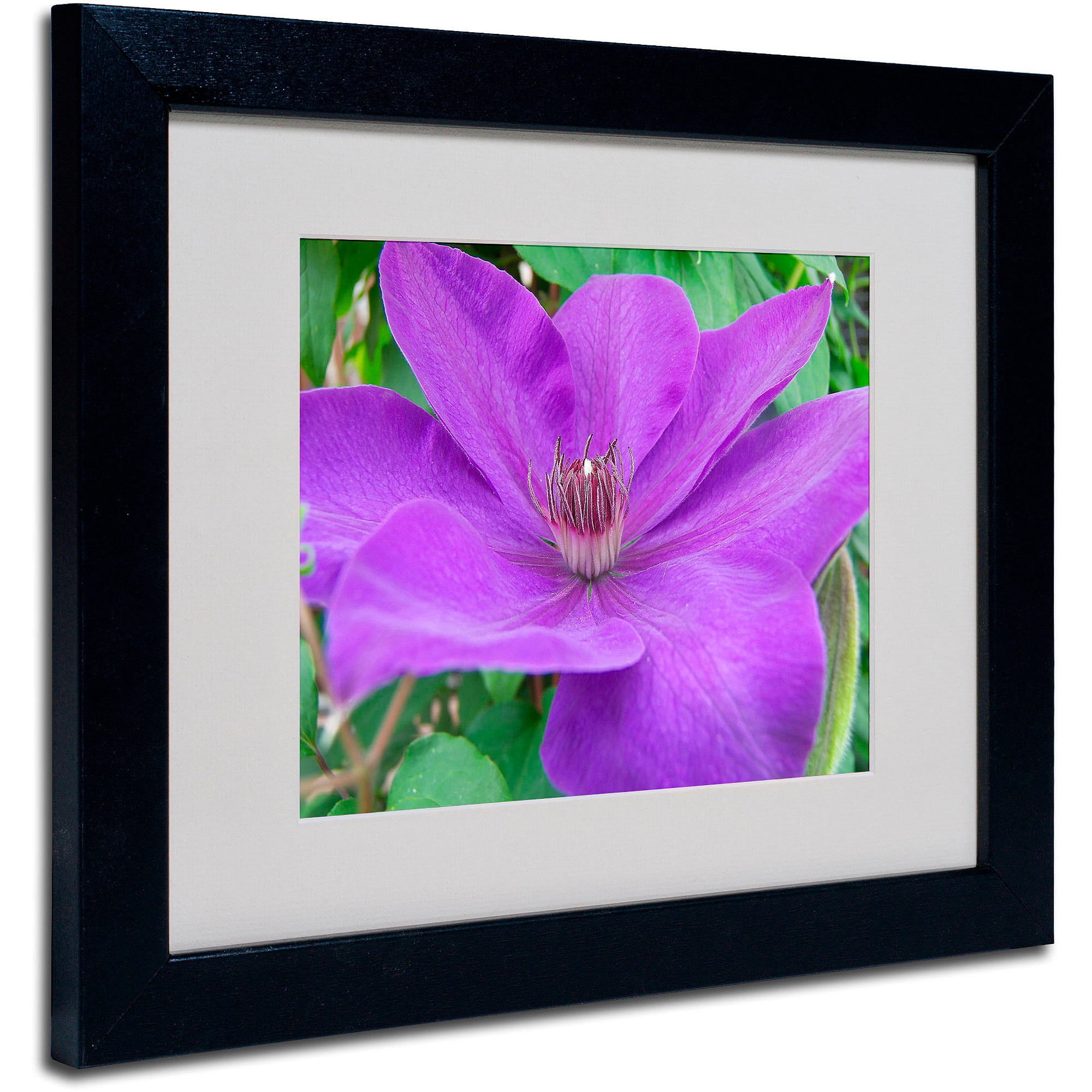 Trademark Fine Art "Purple Flower" by Monica Fleet, Black Frame