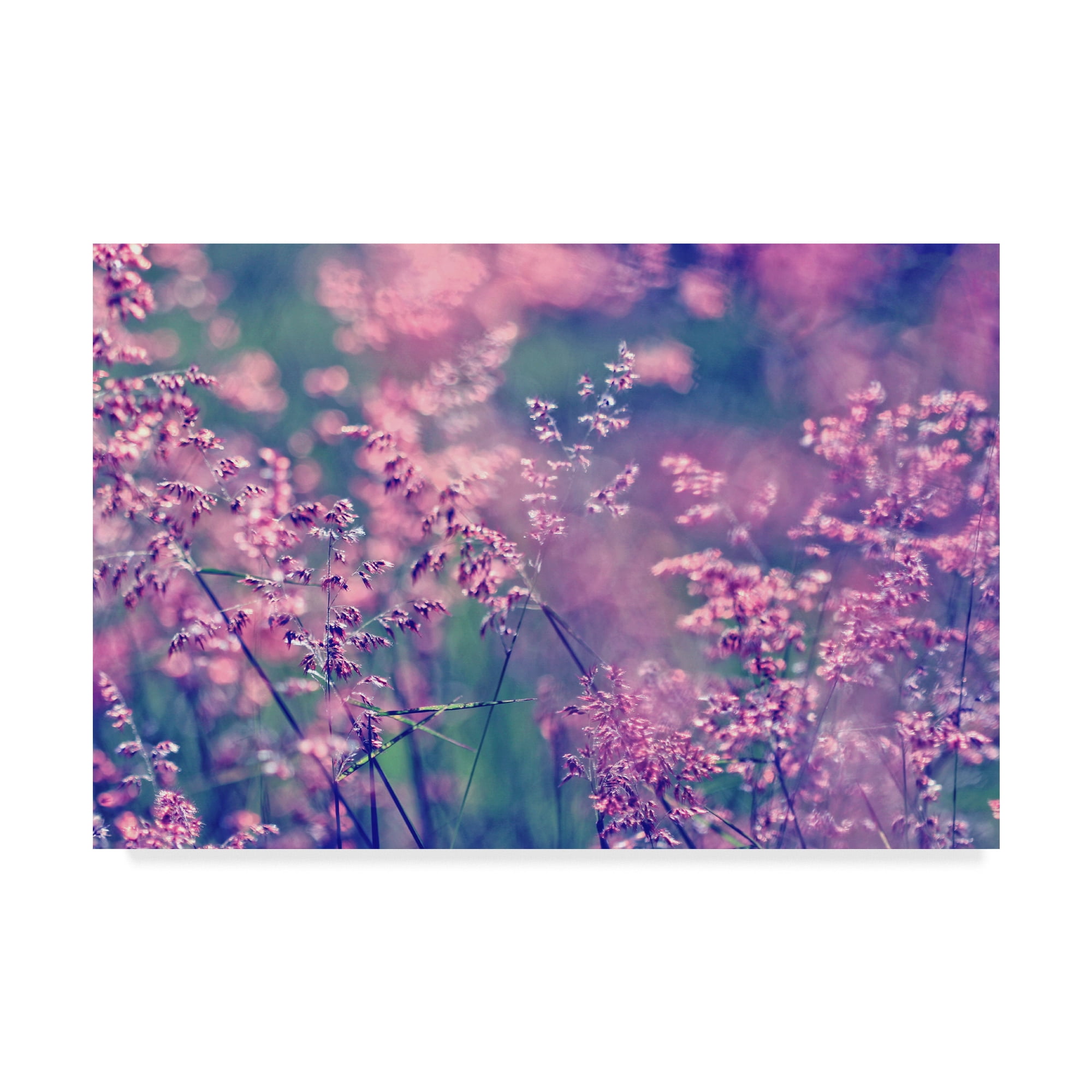 Purple and Pink Floral Canvas Art in 22 x 32
