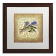 thumbnail image 1 of Trademark Fine Art 'Purple Hyacinth' Matted Framed Art by Rachel Paxton, 1 of 4