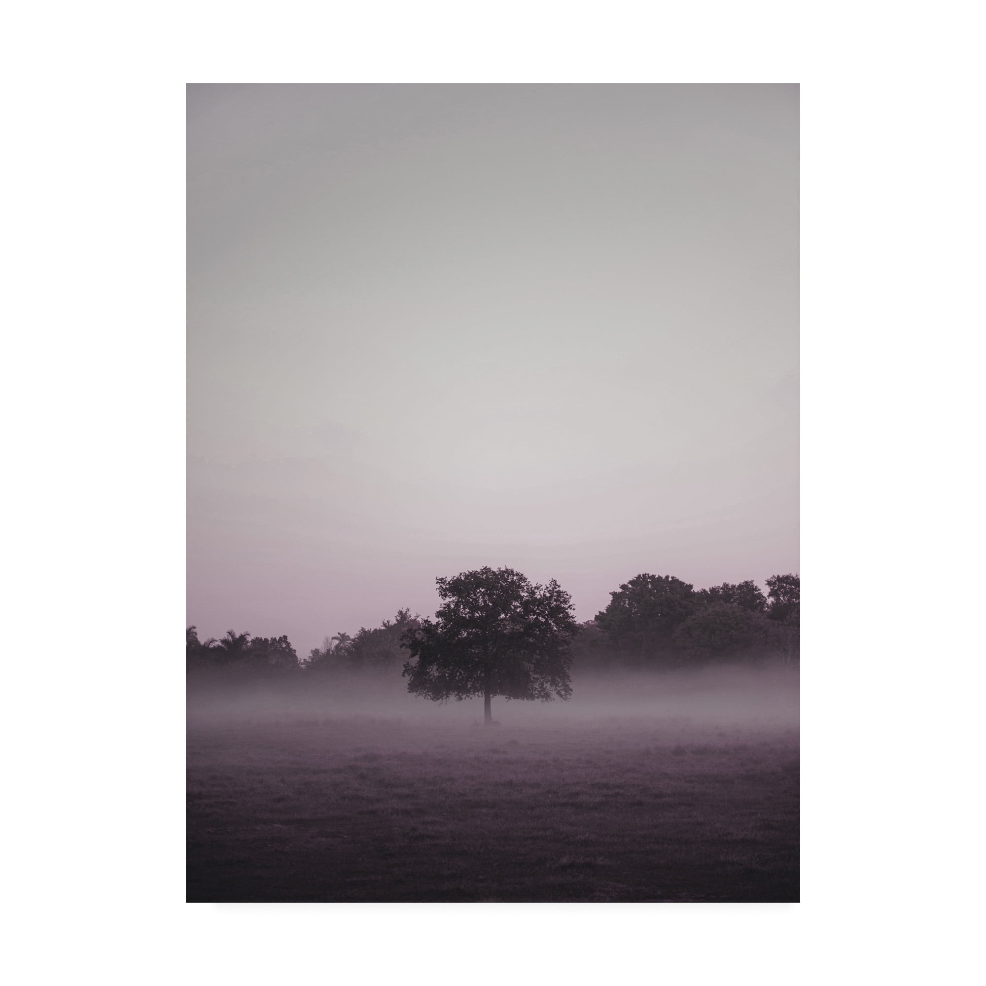 Trademark Fine Art 'Purple Light 2 Fabrikken' Canvas Art by Design Fabrikken