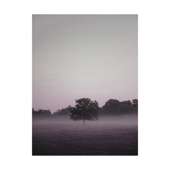 Trademark Fine Art 'Purple Light 2 Fabrikken' Canvas Art by Design Fabrikken