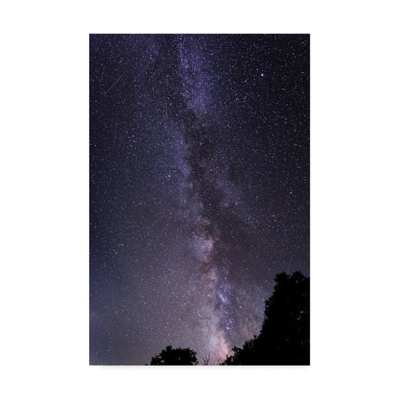 Trademark Fine Art 'Purple Milky Way' Canvas Art by Brenda Petrella Photography Llc
