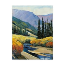 Trademark Fine Art 'Purple Mountain Majesty I' Canvas Art by Tim OToole