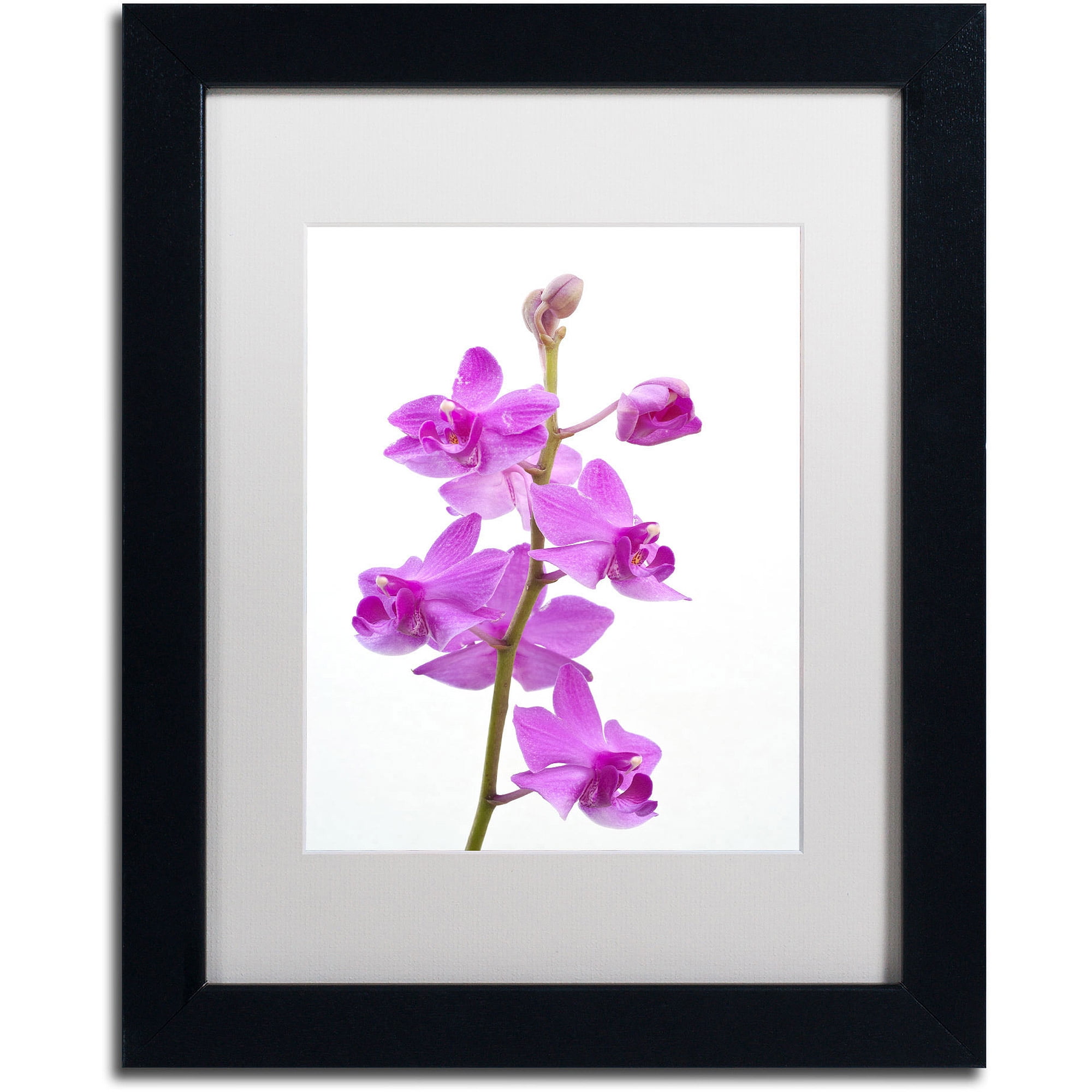 Purple Orchids Framed Canvas Art with White Matte, 16" x 20"