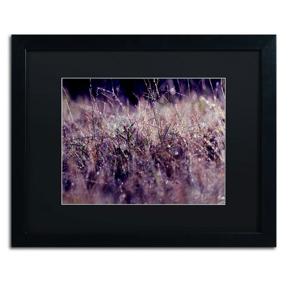 Trademark Fine Art "Purple Rain" Canvas Art by Beata Czyzowska Young, Black Matte, Black Frame