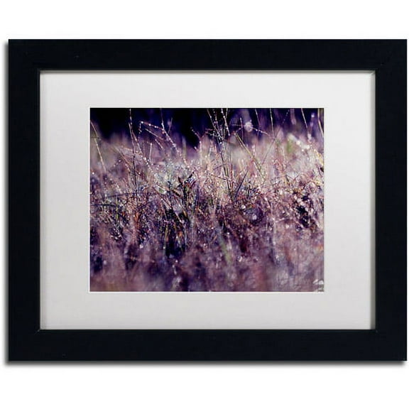 Trademark Fine Art "Purple Rain" Canvas Art by Beata Czyzowska Young, White Matte, Black Frame