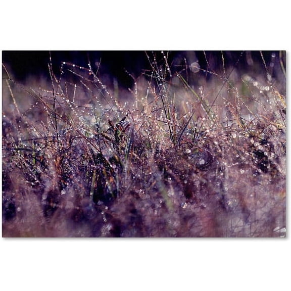 Trademark Fine Art "Purple Rain" Canvas Art by Beata Czyzowska Young