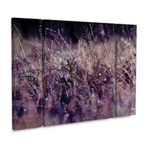 Beata Czyzowska Young 'Purple Rain' Multi Panel Art Set Large 3 Piece
