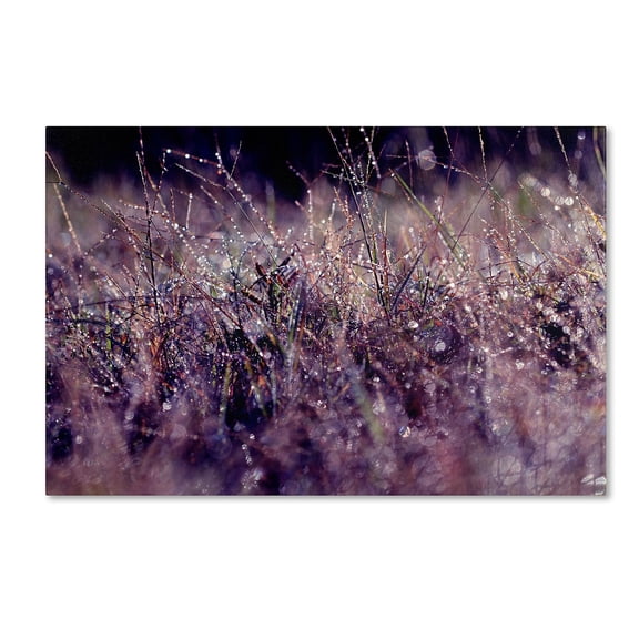 Trademark Fine Art "Purple Rain" Canvas Art by Beata Czyzowska Young
