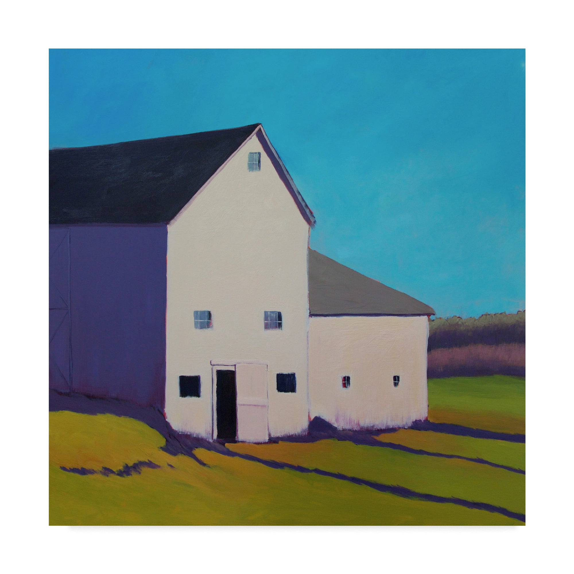 Trademark Fine Art 'Purple Shade' Canvas Art by Carol Young