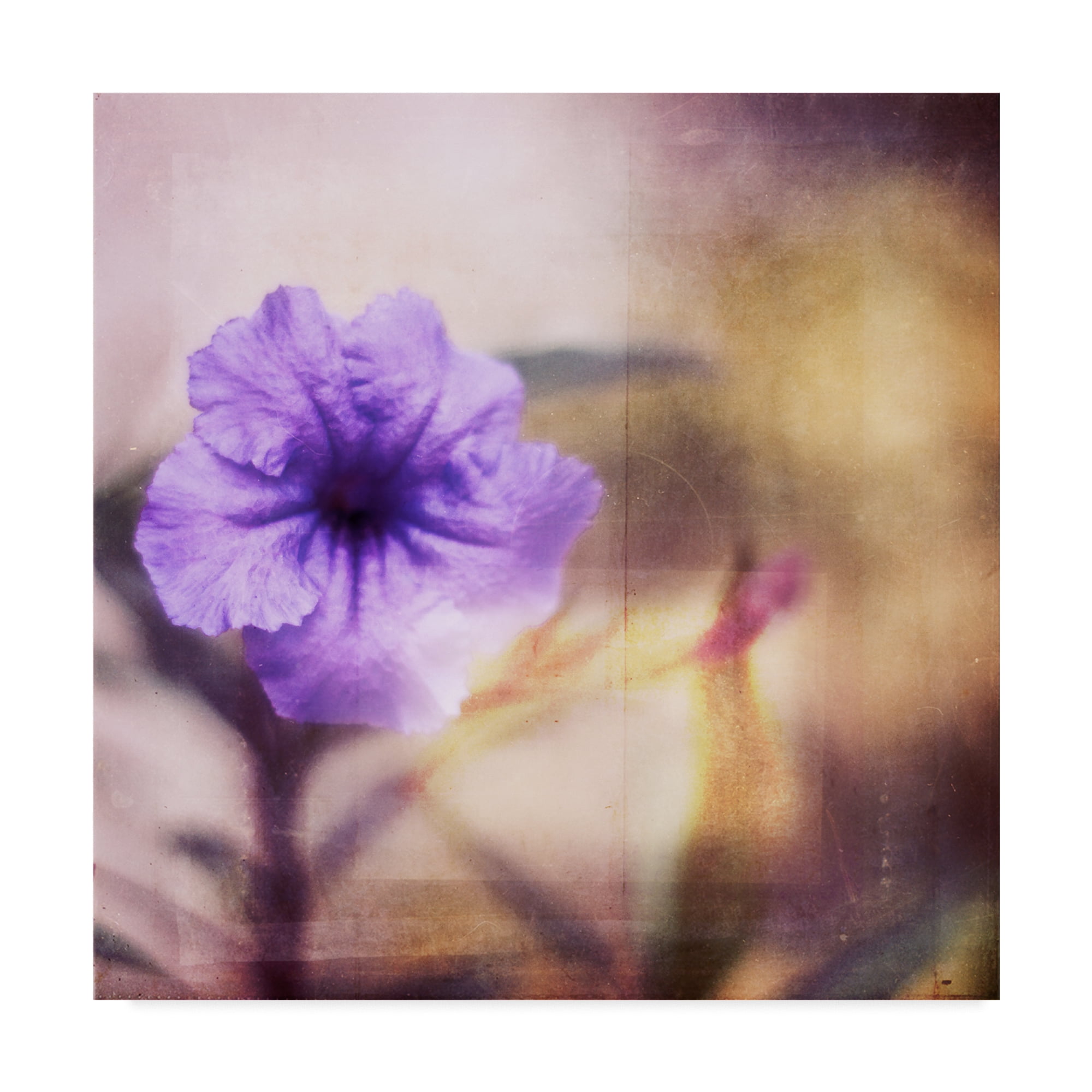 Trademark Fine Art 'Purple Tranquility I' Canvas Art by Emily Robinson