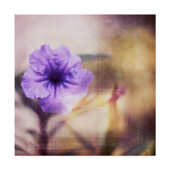 Trademark Fine Art 'Purple Tranquility I' Canvas Art by Emily Robinson