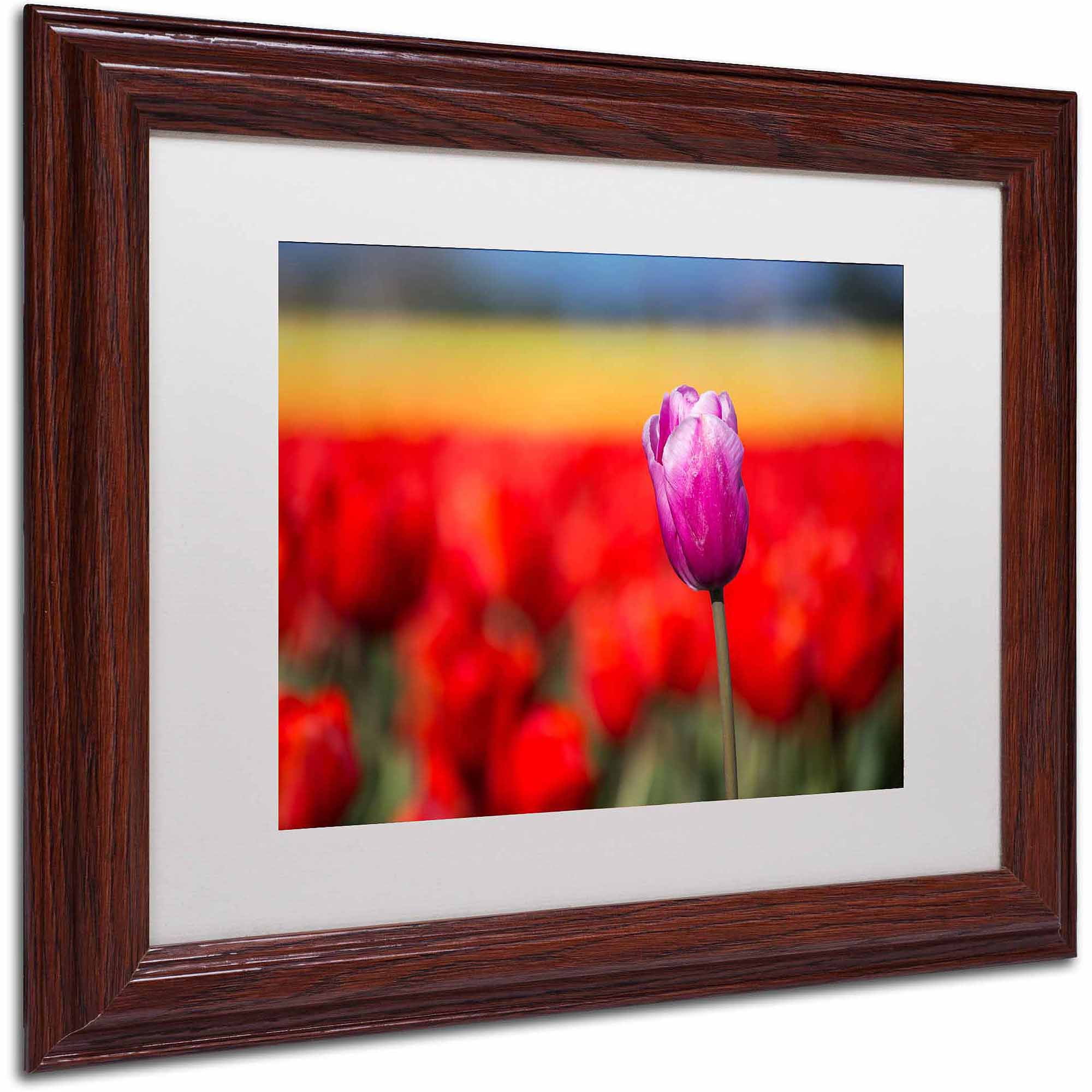 Trademark Fine Art "Purple Tulip" Canvas Art by Pierre Leclerc, White Matte/Wood Frame