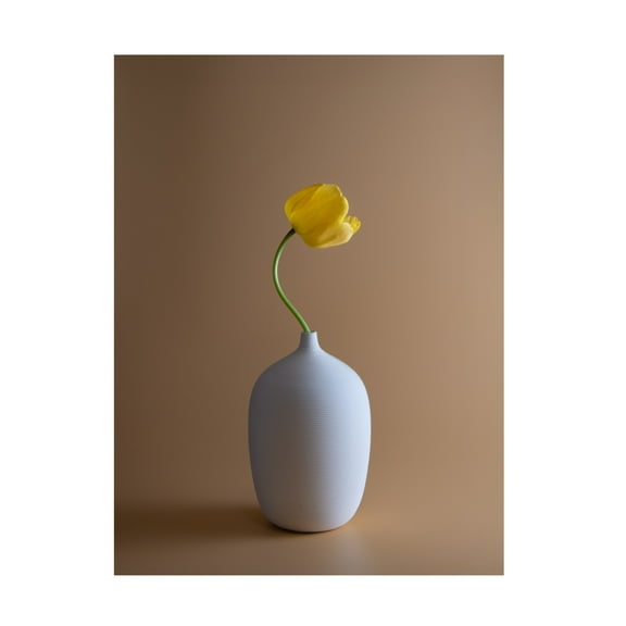 Trademark Fine Art Qing Li Tulip Canvas Wall Art