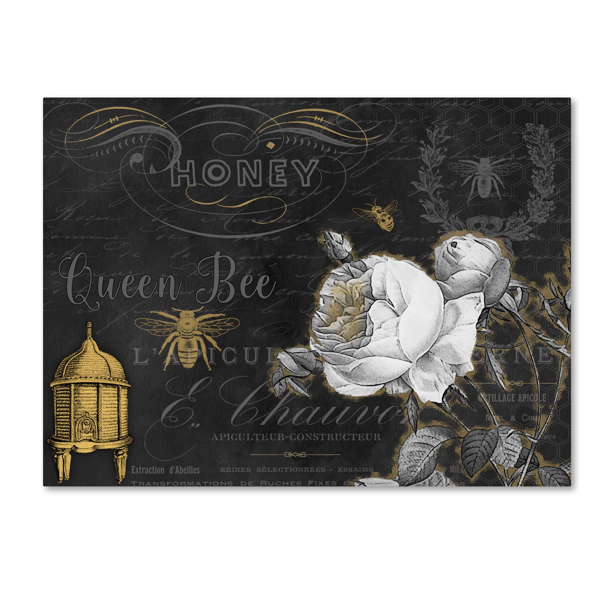 Trademark Fine Art 'Queen Bee 1' Canvas Art by Jean Plout