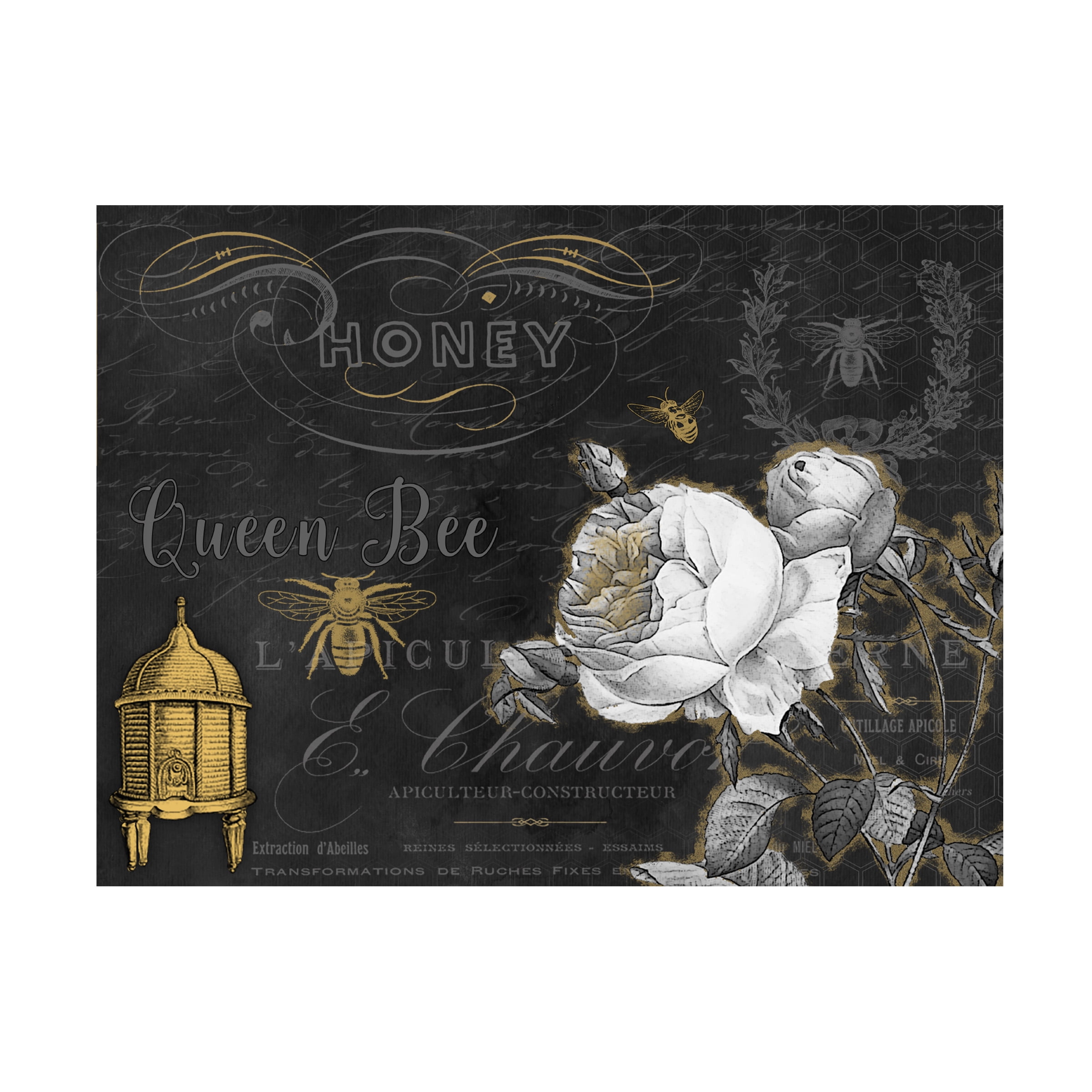 Trademark Fine Art 'Queen Bee 1' Canvas Art by Jean Plout