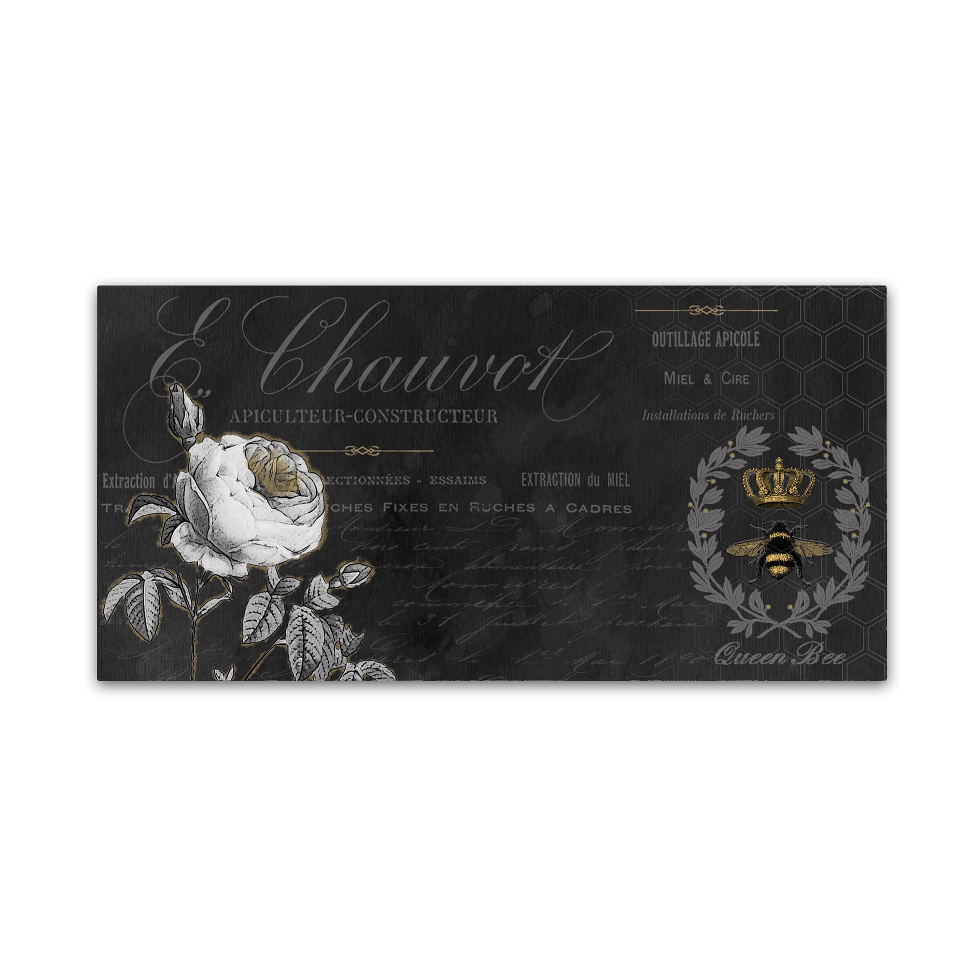 Trademark Fine Art 'Queen Bee 11' Canvas Art by Jean Plout