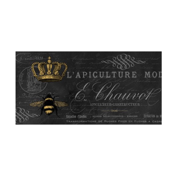 Trademark Fine Art 'Queen Bee 13' Canvas Art by Jean Plout
