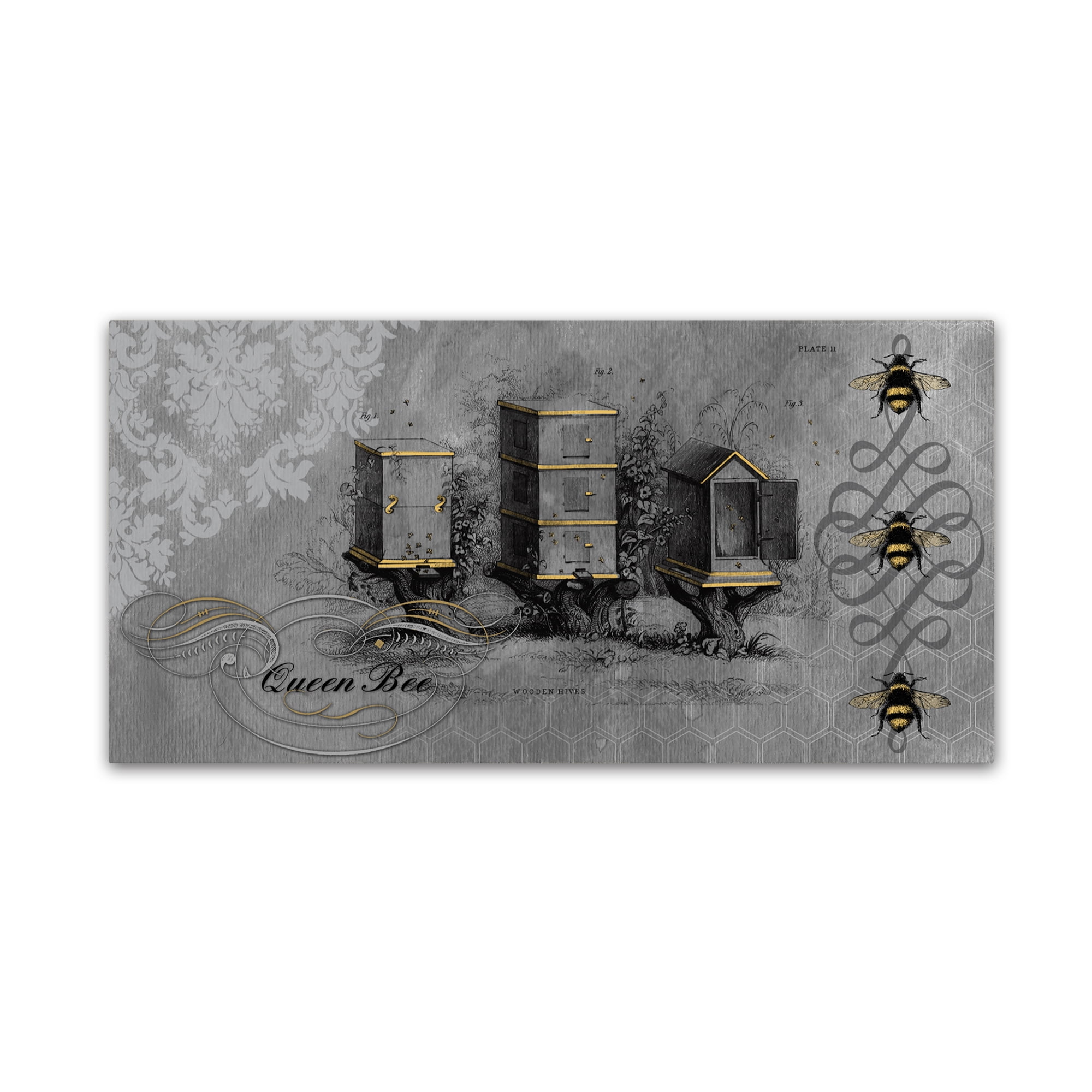 Trademark Fine Art 'Queen Bee 7' Canvas Art by Jean Plout